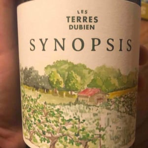 Synopsis - Les Terres Dubien - benoit-joussot-dubien -2020