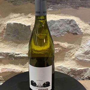Synthèse Blanc - Domaine Riberach - guilhem-soulignac-j-m-mailloles-patrick-rodrigues-luc-richard