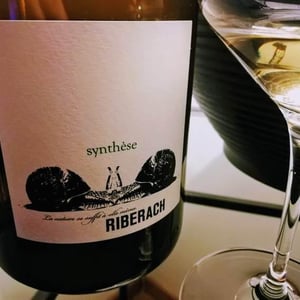 Synthèse Blanc - Domaine Riberach - guilhem-soulignac-j-m-mailloles-patrick-rodrigues-luc-richard