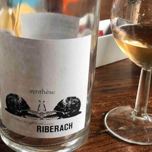 Domaine Riberach - Guilhem SOULIGNAC, J-M MAILLOLES , Patrick RODRIGUES & Luc RICHARD - Synthèse Gris
