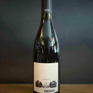 Synthèse Rouge - Domaine Riberach - guilhem-soulignac-j-m-mailloles-patrick-rodrigues-luc-richard
