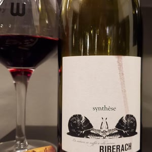 Synthèse Rouge - Domaine Riberach - guilhem-soulignac-j-m-mailloles-patrick-rodrigues-luc-richard