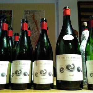Syrah - Azienda Agricola Stefano Amerighi - stefano-amerighi