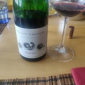 Azienda Agricola Stefano Amerighi - Stefano Amerighi - Syrah