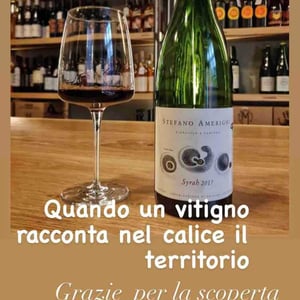 Syrah - Azienda Agricola Stefano Amerighi - Stefano Amerighi 
