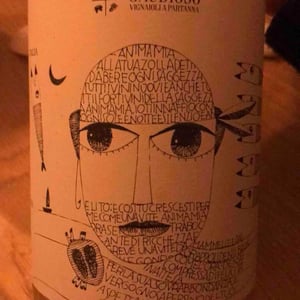 Syrah - Azienda Agricola Gaudioso - Antonio & Rosa Gaudioso 