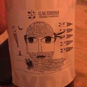 Syrah - Azienda Agricola Gaudioso - Antonio & Rosa Gaudioso 