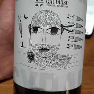 Syrah - Azienda Agricola Gaudioso - Antonio & Rosa Gaudioso 