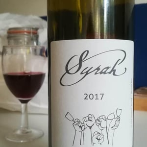 Domaine Plageoles - Bernard, Florent & Romain Plageoles - Syrah