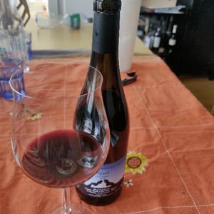 Domaine des Miquettes - Chrystelle Vareille & Paul Estève - Syrah
