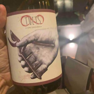 Syrah - Celler Tuets - Albert Domingo 