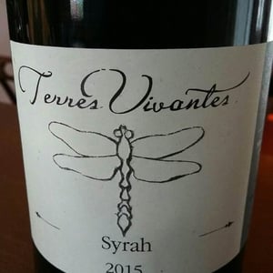 Syrah - Terres Vivantes - marie-ludovic-gros