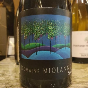 Syrah - Domaine Miolanne - jean-baptiste-deroche-laure-cartier