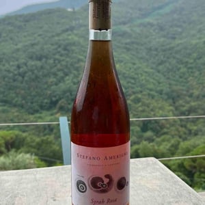 Syrah rosa - Azienda Agricola Stefano Amerighi - Stefano Amerighi -2021
