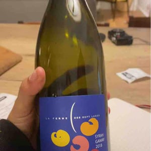 Syrah / Gamay - La Ferme des Sept Lunes - Jean Delobre & Jacques Maurice 