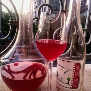Syrah - Pierre Beauger - Pierre Beauger 