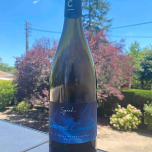 Syrah 2019