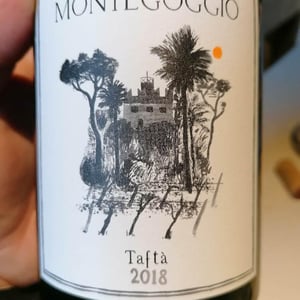 Tafta - Montegoggio Vini - paolo-miotti-francesco-gobbo-marco-passuello -2021