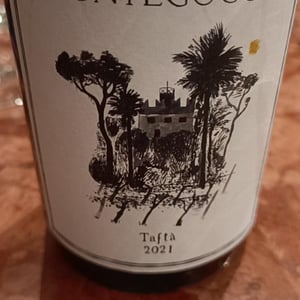 Tafta - Montegoggio Vini - Paolo Miotti, Francesco Gobbo & Marco Passuello -2021