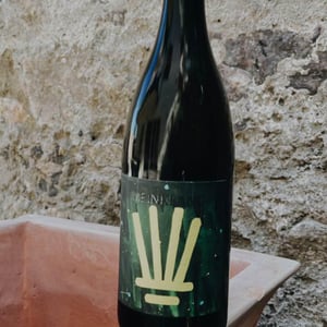 Tag - Meinklang - Weingut Michlits - angela-werner-michlits -2020