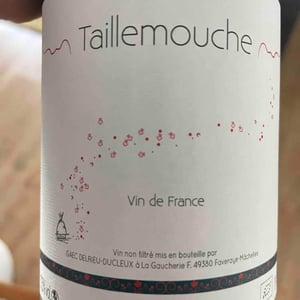 Taillemouche - Julien Delrieu & Thibault Ducleux - julien-delrieu-thibault-ducleux -2020
