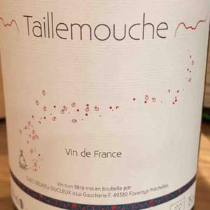 Taillemouche - Julien Delrieu & Thibault Ducleux - julien-delrieu-thibault-ducleux -2020