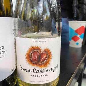 Toma Castanya - Vinyes Singulars - ignasi-segui