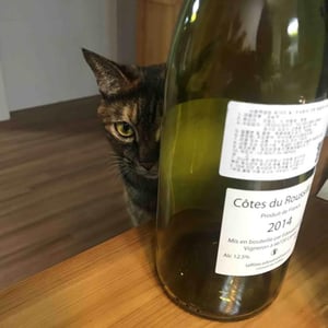 Tam-Tam - Domaine Le Bout du Monde - edouard-laffitte