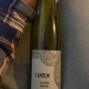 Tandem - Léo Dirringer - Léo Dirringer 
