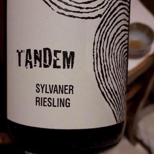 Tandem - Léo Dirringer - Léo Dirringer 