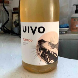 Folias de Baco - Tiago Sampaio - Uivo Curtido