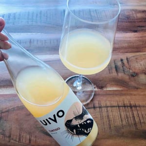 Folias de Baco - Tiago Sampaio - Uivo Curtido