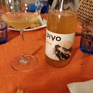 Folias de Baco - Tiago Sampaio - Uivo Curtido