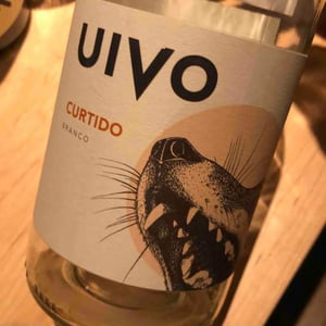 Folias de Baco - Tiago Sampaio - Uivo Curtido
