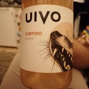 Folias de Baco - Tiago Sampaio - Uivo Curtido