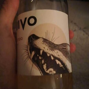 Folias de Baco - Tiago Sampaio - Uivo Curtido