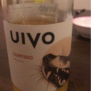 Folias de Baco - Tiago Sampaio - Uivo Curtido