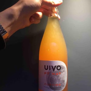 Folias de Baco - Tiago Sampaio - Uivo Curtido