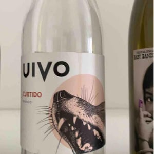 Folias de Baco - Tiago Sampaio - Uivo Curtido