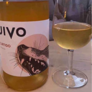 Folias de Baco - Tiago Sampaio - Uivo Curtido