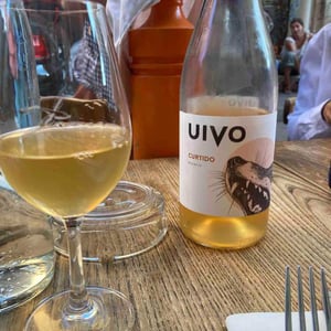 Folias de Baco - Tiago Sampaio - Uivo Curtido