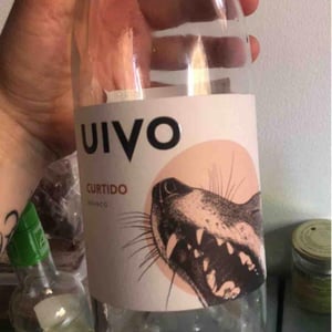 Folias de Baco - Tiago Sampaio - Uivo Curtido