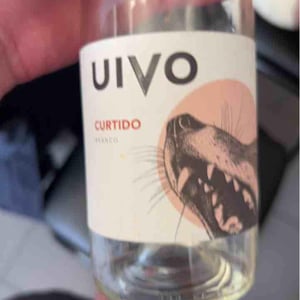 Folias de Baco - Tiago Sampaio - Uivo Curtido