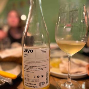 Uivo Curtido - Folias de Baco - Tiago Sampaio 