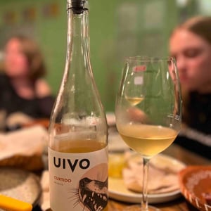Folias de Baco - Tiago Sampaio - Uivo Curtido