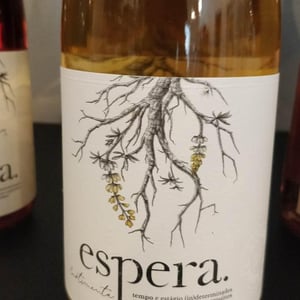 Curtimenta - Espera Wines - rodrigo-martins -2020