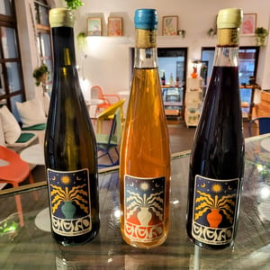Ciclo Vinho Curtimenta - Ciclo Vinhos - joachim-roque-hugo-campos-ana-paulino -2022