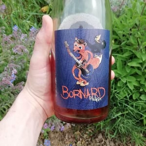Domaine Bornard - Tony Bornard - Tant Mieux