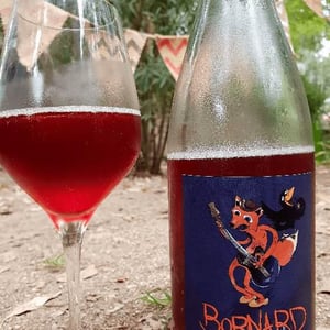 Domaine Bornard - Tony Bornard - Tant Mieux