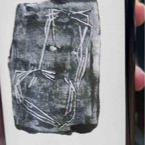 Tant Qu’on Peut - Clos du Tue-Bœuf - zoe-louise-thierry-puzelat -2020